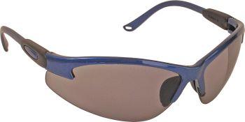 Schutzbrille Aquarius getönt