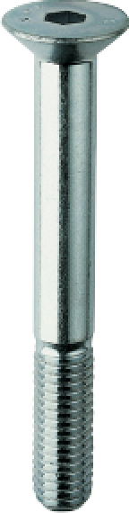 Innensechskant-Schrauben DIN 7991-8.8 M 8x30mm