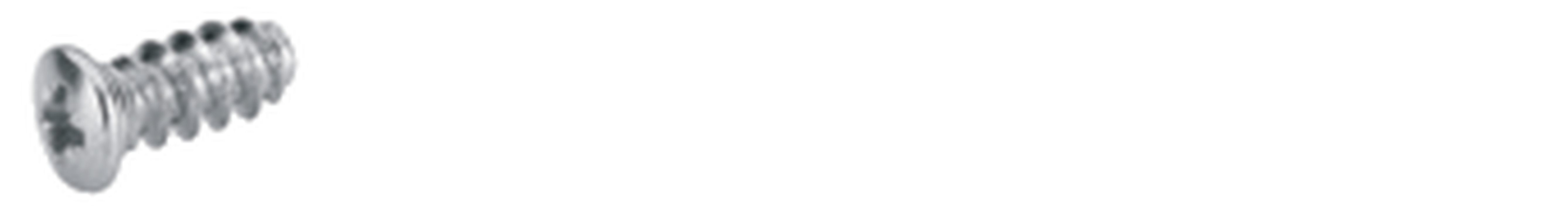 Artikelbild 1 des Artikels Direktbefestigungsschraube 6,3x13,7 Direktbefestigungsschraube 6,3x13,7