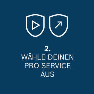 Schritt 2, Wähle deinen Pro Service aus